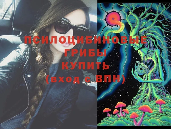 ПСИЛОЦИБИНОВЫЕ ГРИБЫ Арсеньев