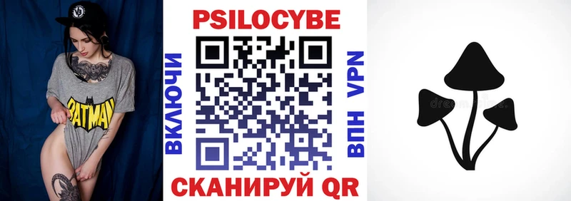 купить наркотик  Кызыл  Псилоцибиновые грибы Cubensis 